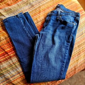 Levi's Blue Denim Jeans